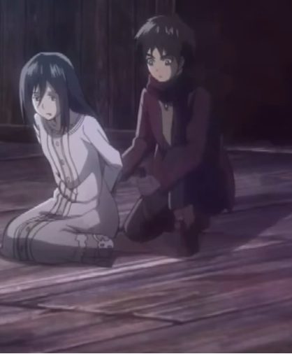 Why Mikasa loves Eren? Some Facts about Mikasa and Eren relationship